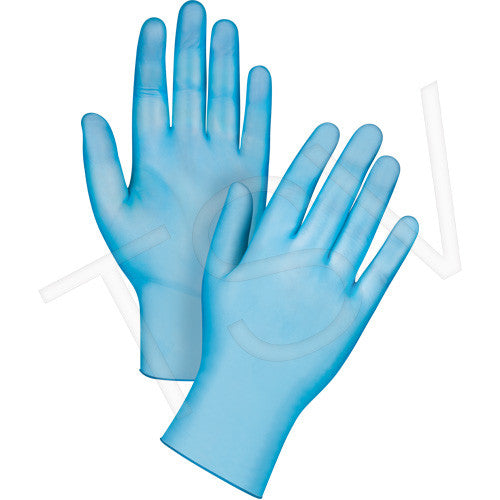 Blue Vinyl Examination Grade Gloves Powder Free (large) (4 mil)